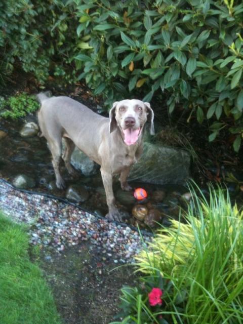 Lucy Cooling Down
